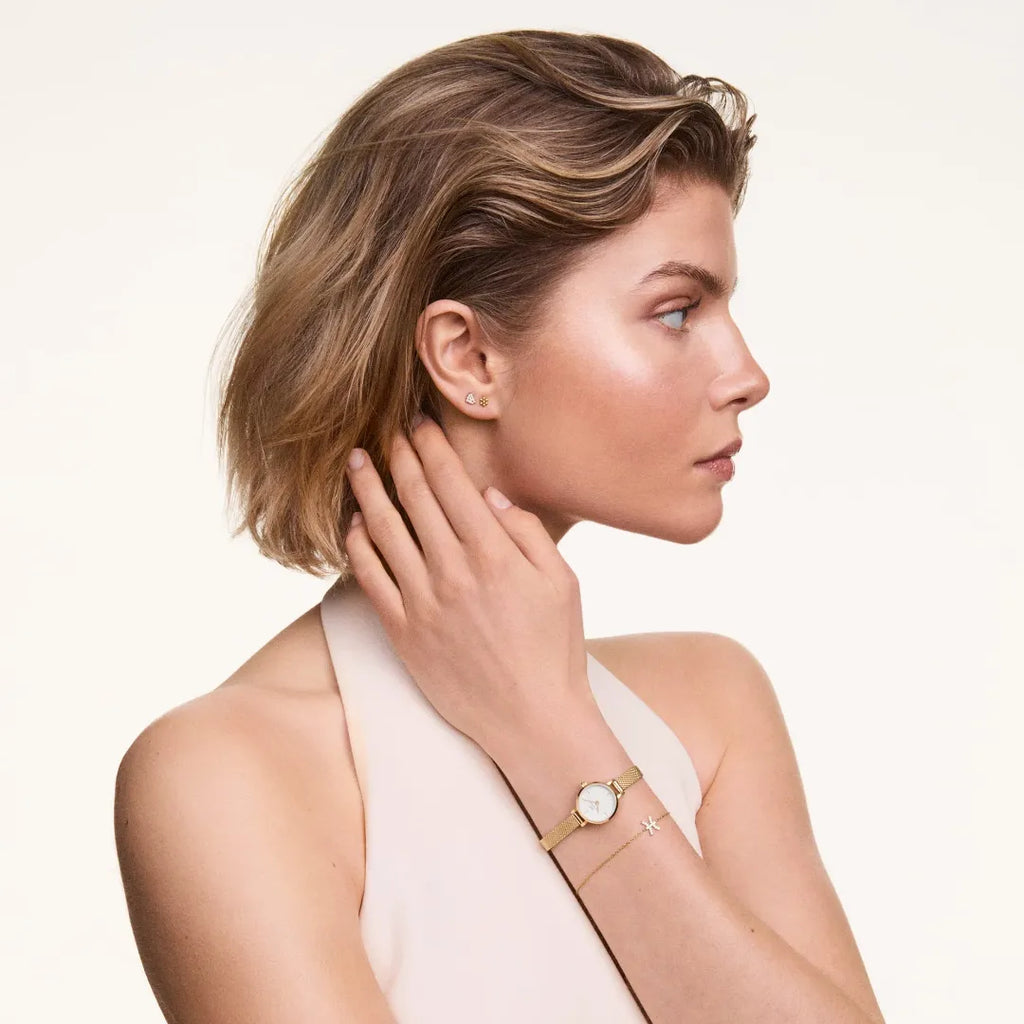 Orologio Daniel Wellington Petite Mini Evergold Acciaio Dorato e Cinturino Maglia Milanese DW00100745